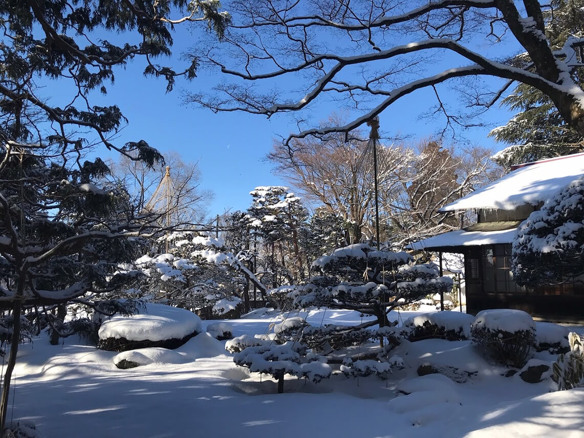 冬の老梅園
